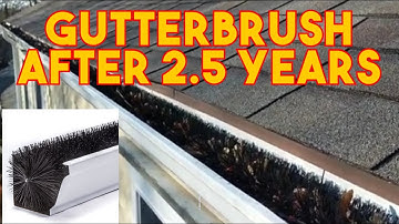 GutterBrush Gutter Guard Performance Results After 2.5 Years