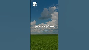 الآية 28 من سورة البقرة للقارئ الشيخ فارس عباد #فارس_عباد #اكسبلور #قرآن