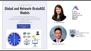 #5: Global and Network-BrainAGE Models