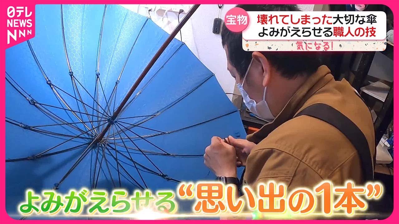 活動歴および当時の関連ビジュアル記録