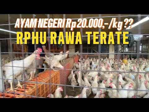 Harga Ayam Brunei