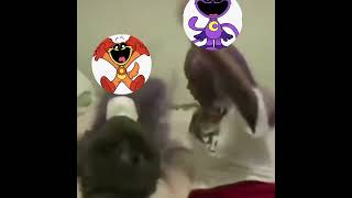 How Dogday Got Tortured