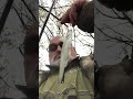 KILLER FISH 007 !!! TAGANKA 2023 !!! #fishing #skigear #carpfishing #snowbaird #carp #fish #nature