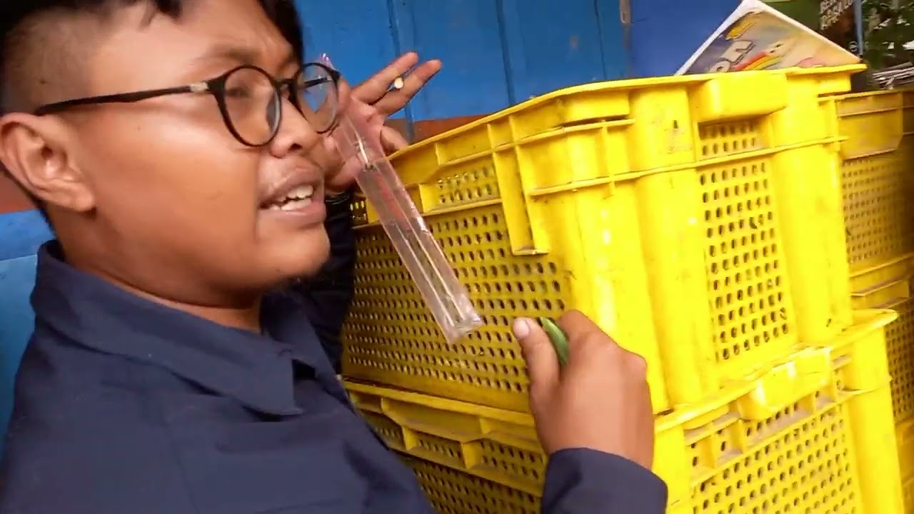 Tips agar OKRA bisa expor ke Jepang