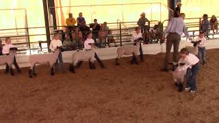 Summit County, Utah Fair