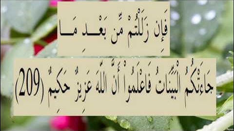 القران الكريم سورة البقرة الاية 209