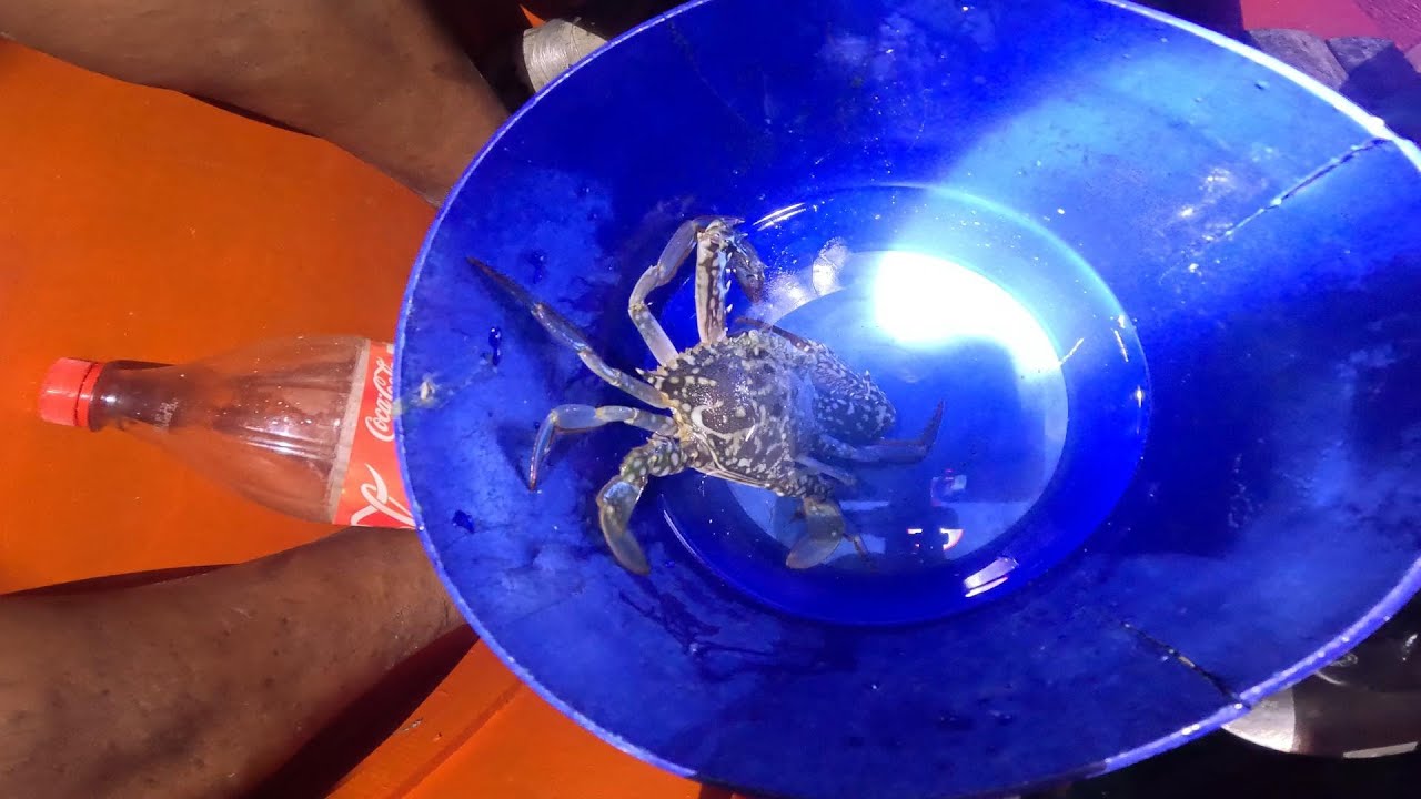 Barbeque and foraging at nigth around Tubabao Island!!