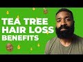 Tea Tree Hairloss Benefits | Thinning Hair Line