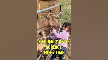 Small Land, Big Output (How We Raise Livestock Efficiently)