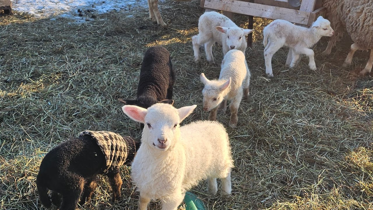 And Then There Were Six!