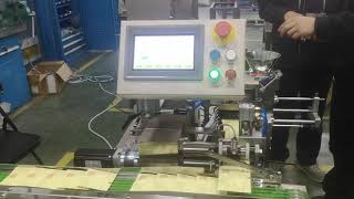High speed pyramid envelope packing machine W180