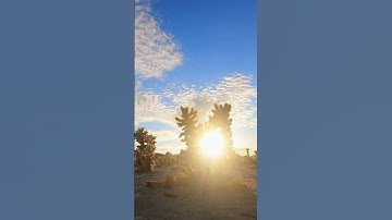أَرَأَيْتَ إِن كَذَّبَ وتولى أَلَمْ يَعْلَم بِأَنَّ الله يرى #آيات #العلق