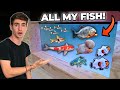 ALL MY FISH & RARE EXOTIC ANIMALS!!! (room tour)