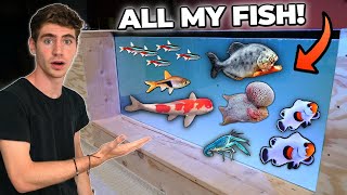 ALL My ANIMALS in One Video!!! (update tour)