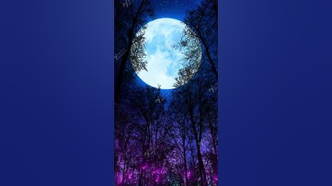 Moon Over Parallax Forest Vertical Background Animation