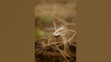 إنا فتحنا لك فتحا مبينا - محمد طه الجنيد #قران_كريم #تلاوة_خاشعة