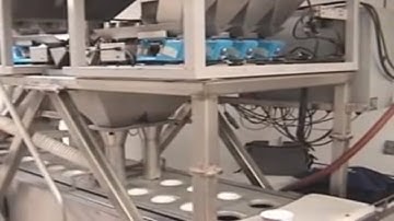 Actionpac Weighing and Filling System | Integrated with Doboy Cupping Line and MAP packaging