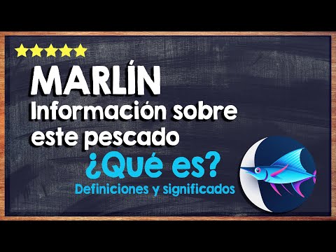 👍 ¿Qué tipo de pescado es el &#039;Marlín&#039;? ¿Es saludable? Información sobre este pescado 👍