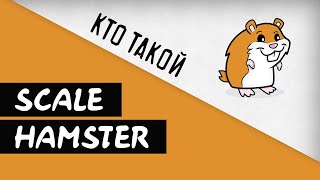 видео: Кто такой Scale Hamster? Канал о стендовом моделизме и коллекционировании картинка: Кто такой Scale Hamster? Канал о стендовом моделизме и коллекционировании