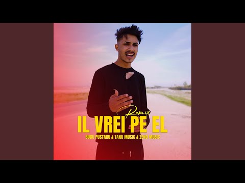 Il vrei pe el (Remix)
