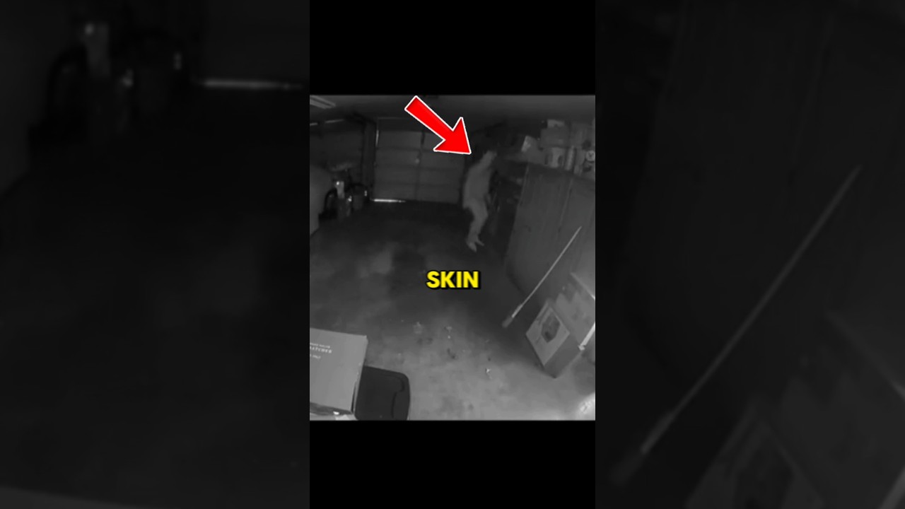 Real Skinwalker Caught on Camera in the Appalachian Mountains