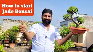 ऐसे झटपट मिनटों में बनाओ बोनसई / How to start a Bonsai / Jade plant bonsai making