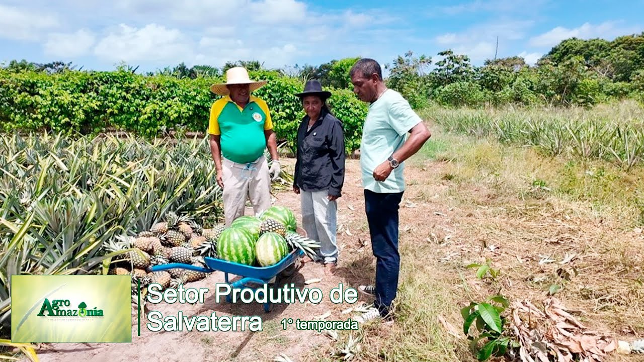 Setor Produtivo de Salvaterra