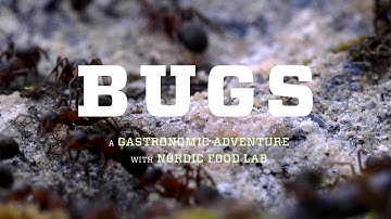 BUGS the film – Will eating insects save our Earth? – official trailer #Tribeca2016