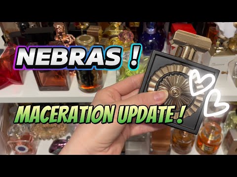 NEBRAS from Lattafa ! Maceration Update ! 🤍 #perfume #fragrance #perfumereview #lattafa #nebras