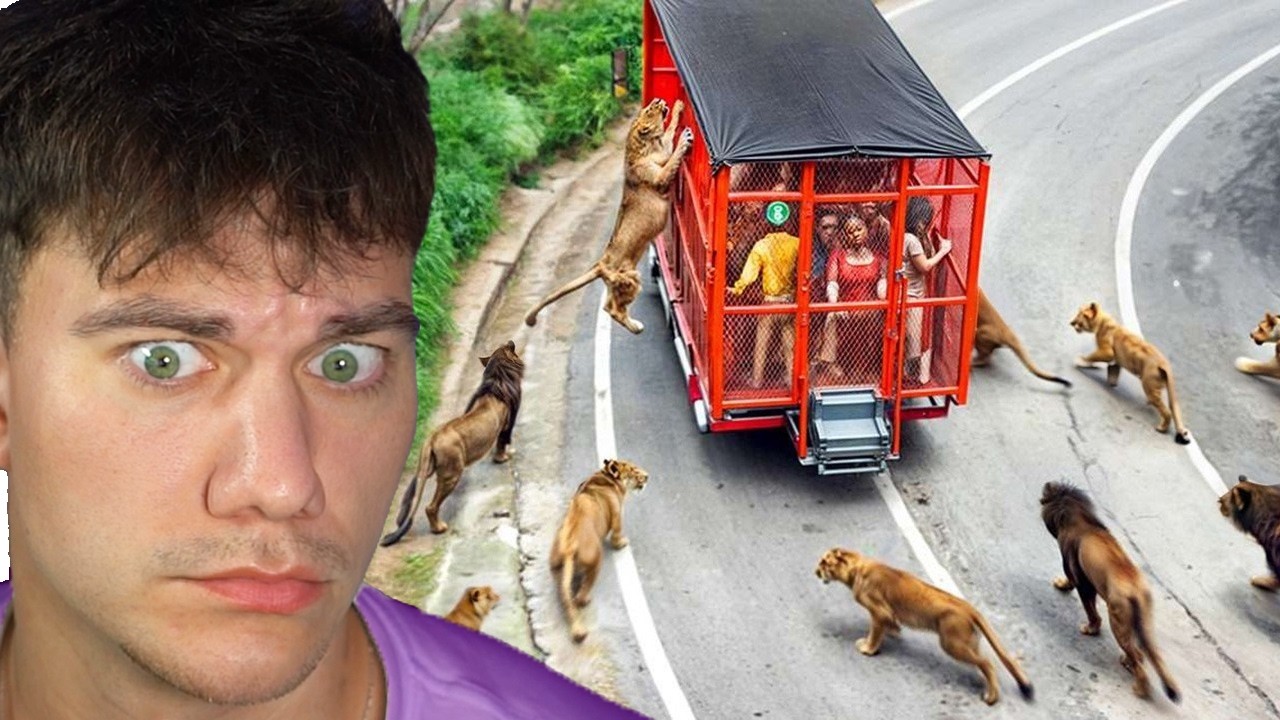 30 DĚSIVÝCH SETKÁNÍ DIVOKÝCH ZVÍŘAT S LIDMI!