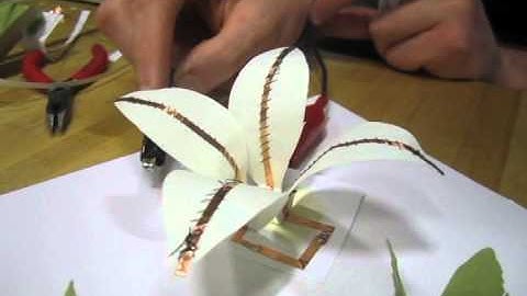 SMA project: blooming flower