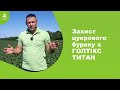 #Агроподорож ADAMA. Захист цукрового буряку з ГОЛТІКС ТИТАН.