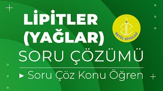 Lipitler Yağlar Soru Çözümü Soru Çöz Konu Öğren Tyt Biyoloji