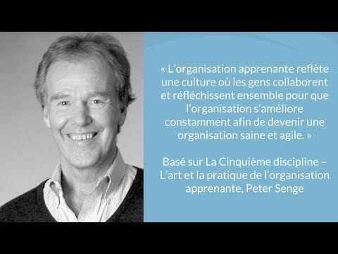 Les cinq disciplines des organisations apprenantes
content media