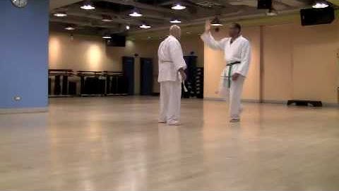 Kung Fu San Soo: A Slow Techniques Lesson 2