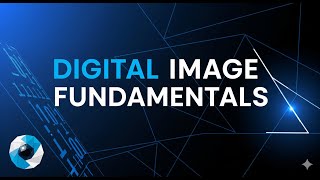Celebrity Digital Image Fundamentals | Basics of Digital Image Processing Net Worth