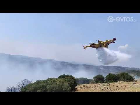 (14:10) Νέα αναζωπύρωση αυτή την ώρα στην περιοχή ανάμεσα Τριφύλλι - Λευκίμμη