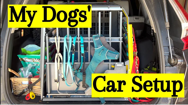 The Perfect Trunk Setup for Your Dog: Safety, Comfort, and Convenience