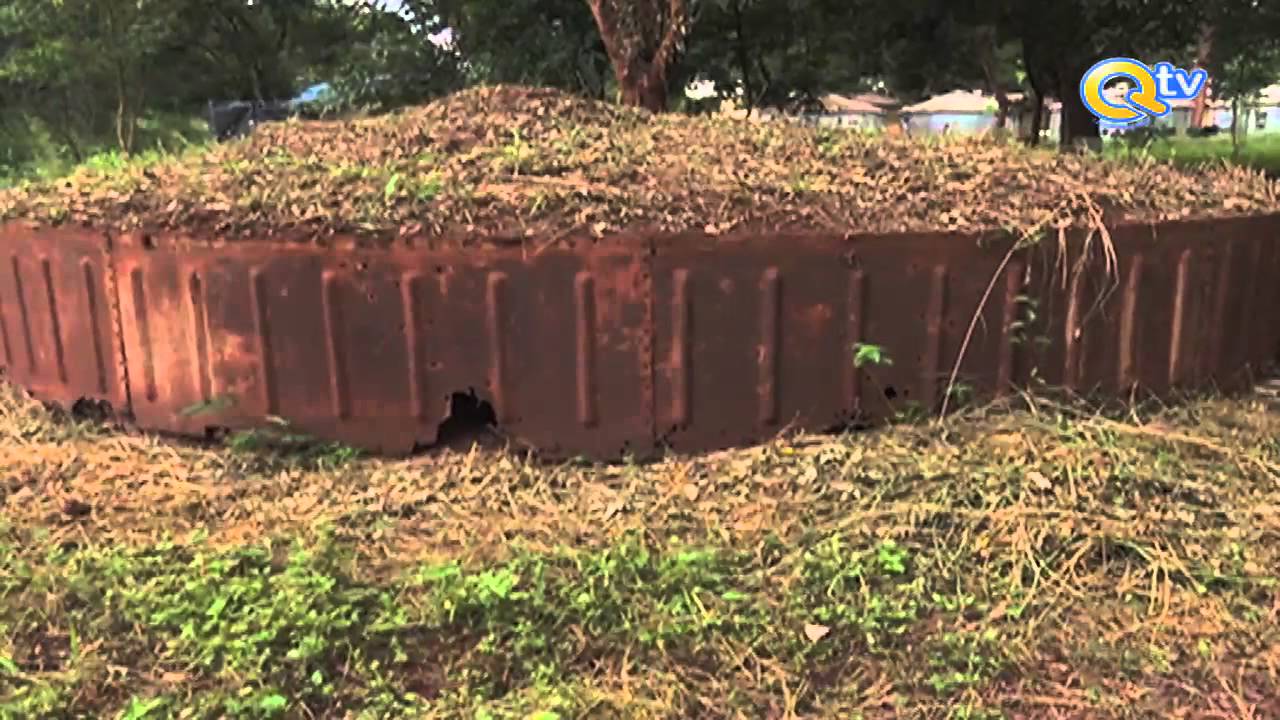 THIKA_ Mti wa Kihistoria wa Mugumo miaka 52 baadaye