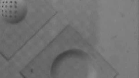 Working of my tunable microlens