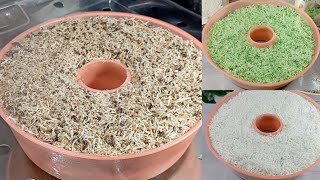 Download Lagu Kue Tradisional : Awuk-awuk Tepung Ketan MP3