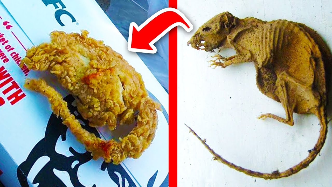 Download Top 10 GROSSEST Things Found In Food (Part 2)