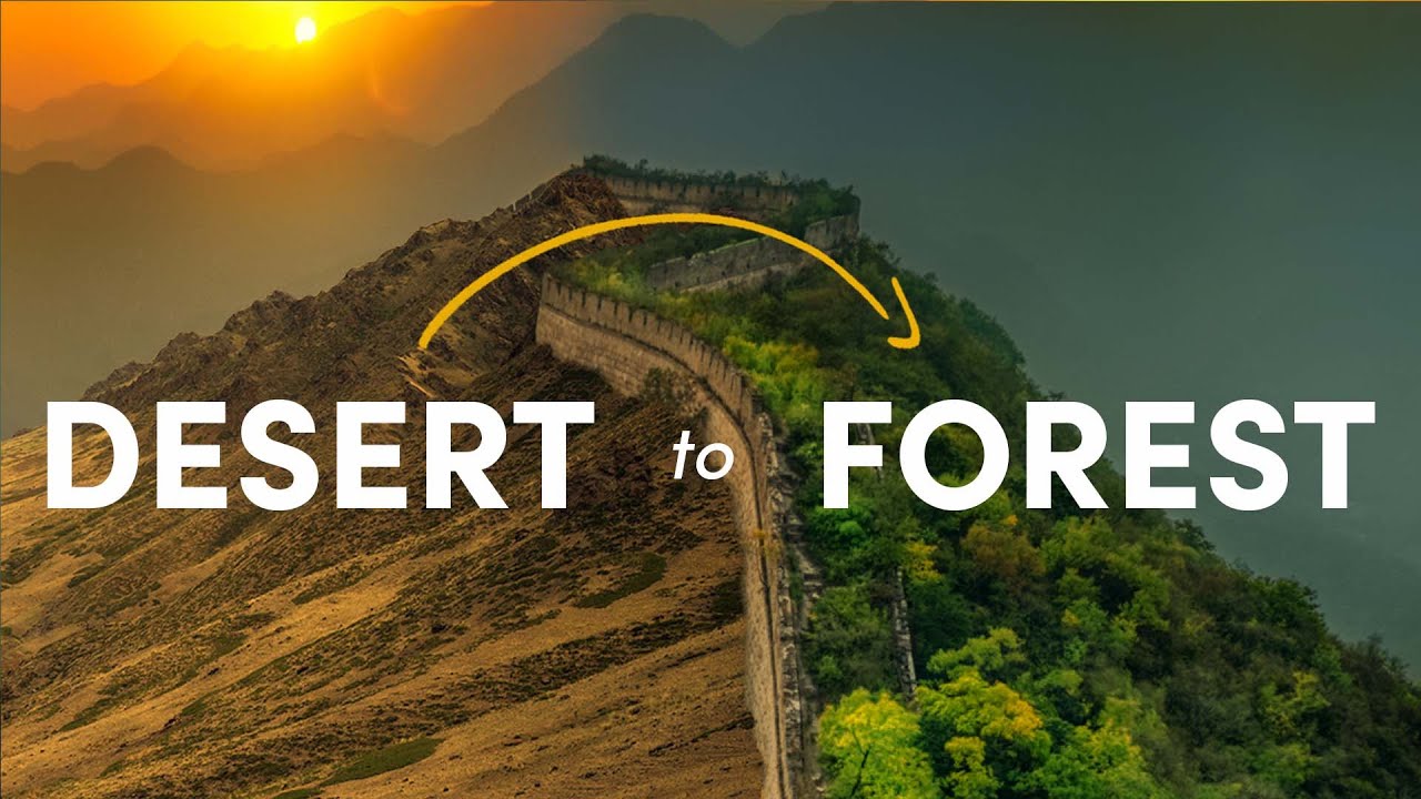 How China Turned the Desert Green (and why it went wrong) thumbnail