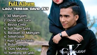 10 Lagu Terbaik David Sky (Full Album )