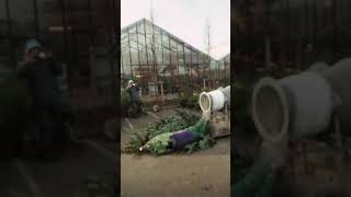 Human Xmas tree