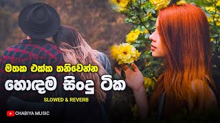 මනෝපාරකට ( Slowed And Reverb Sinhala Songs ) Mind Relaxing Songs Sinhala | Manoparakata Sindu 2024
