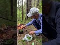 Чай лесной сбор. Как приготовить чай в лесу без заварки?