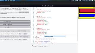 freeCodeCamp: Add Different Padding to Each Side of an Element
