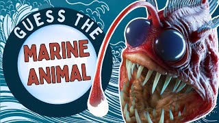 The Ultimate Marine Animal Quiz (50 Questions Challenge!)