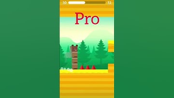 stacky bird noob vs pro vs hacker#stacky bird#stacky bird noob v pro vs hacker#noob vs pro vs hacker